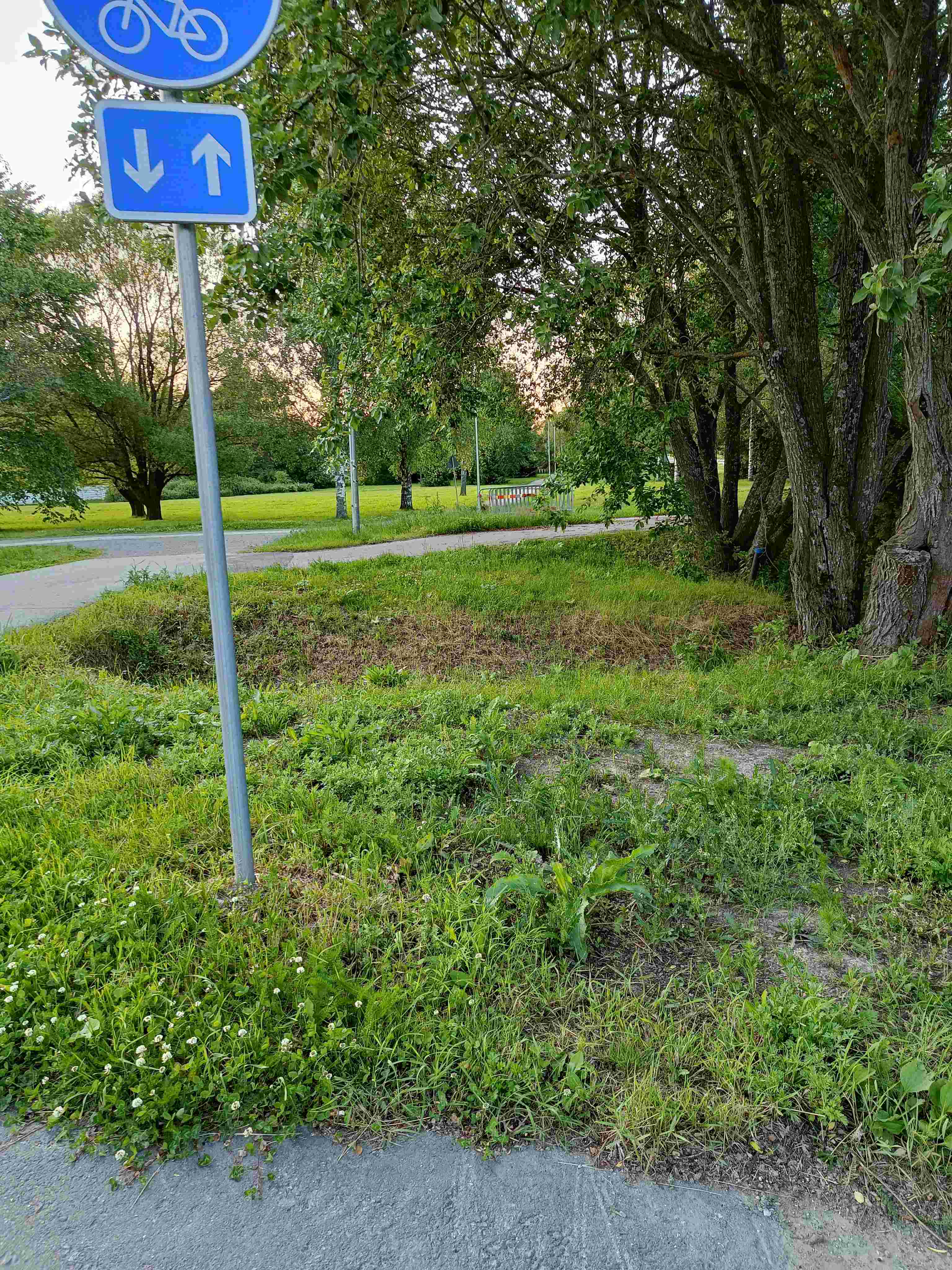 Hole 7 - Hole 7 - The Crossroads